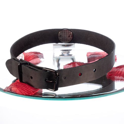 SiaLinda: Halsband Leder mit großem O-Ring 20mm, Serie Nummer 12 Black, Geschenkverpackung - SiaLinda.com